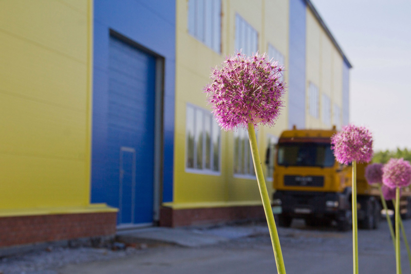 С днём автомобилиста!