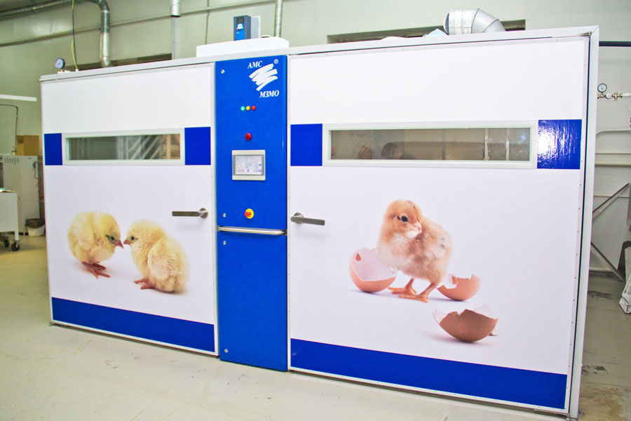 Золотая разработка