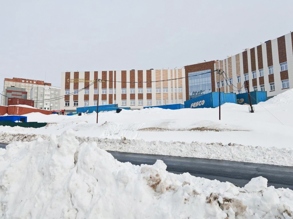 Новый перинатальный центр