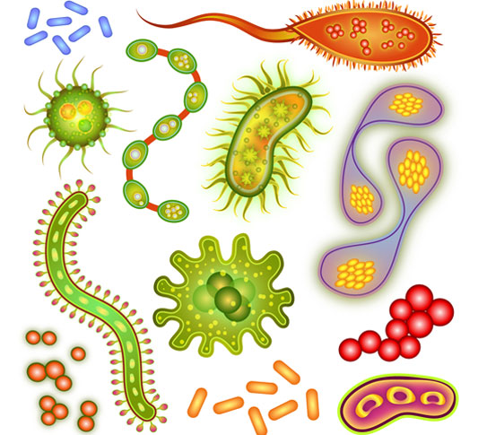 Респираторные инфекции, грипп