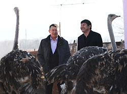 Деловой визит делегации Республики Казахстан