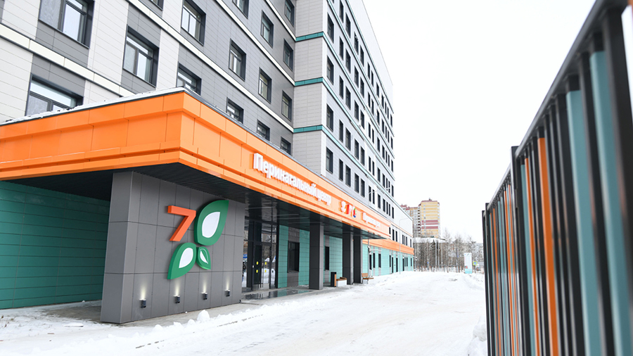 Президент Владимир Путин открыл перинатальный центр